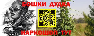 spice Пушкино