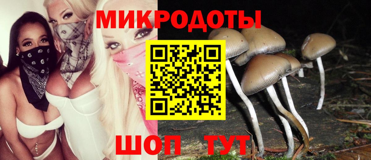 Псилоцибиновые грибы Psilocybe Нефтеюганск